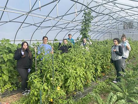 Campus Student Organic Farm